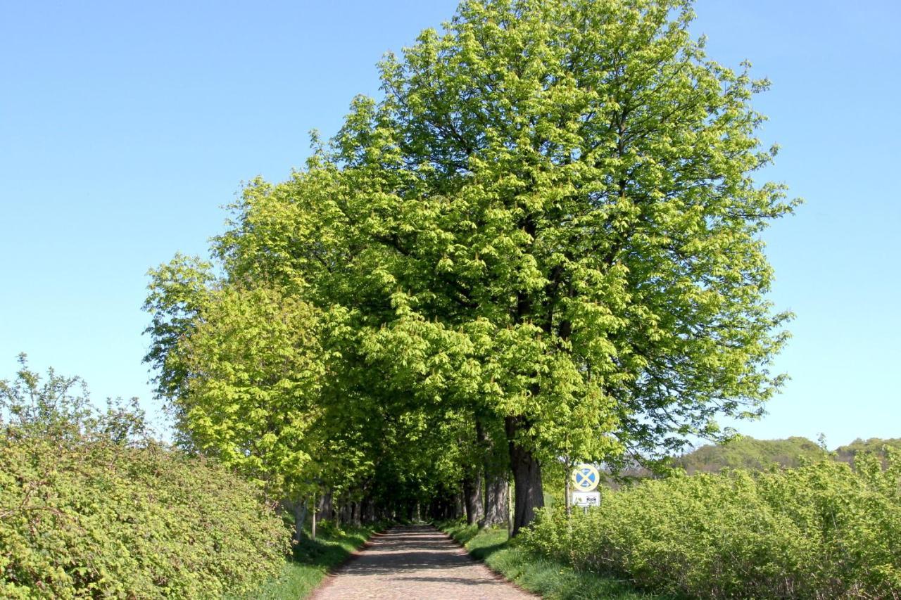 Viel Natur, Idyllische Umgebung, Ruhige Lage - Ferienpark Neddesitz Fewo 299 ภายนอก รูปภาพ